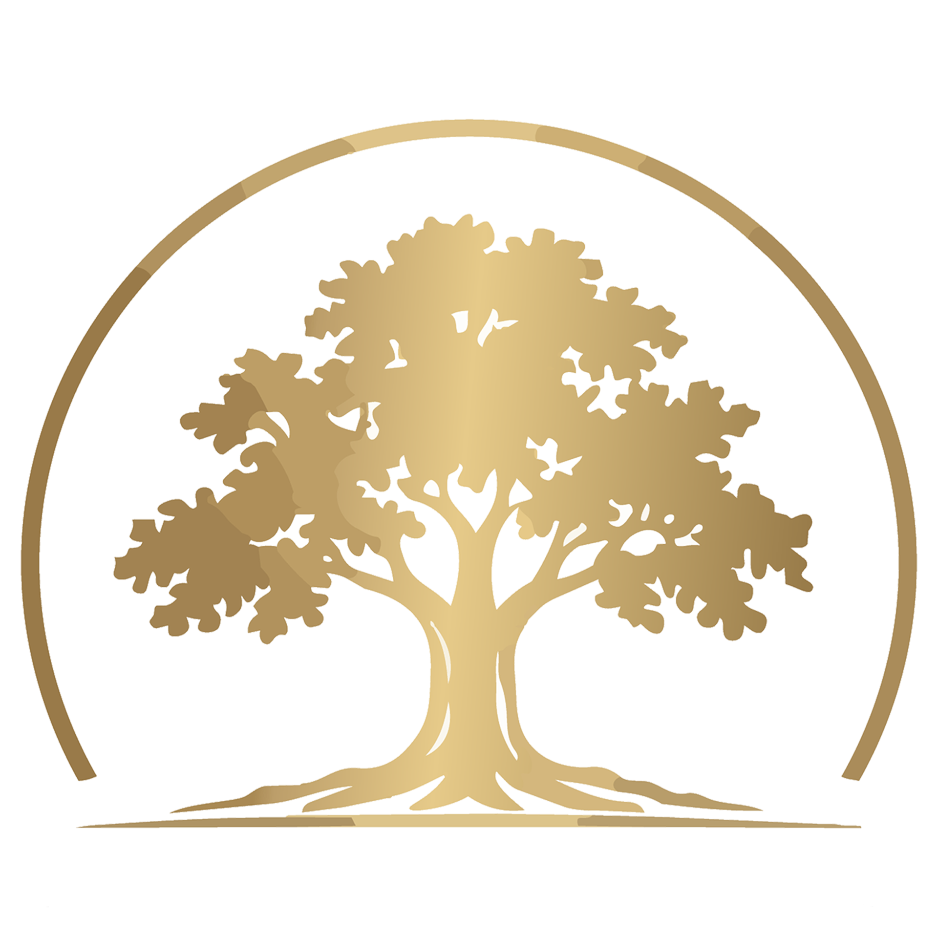 Black Oak Property Services